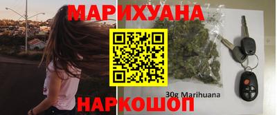 сатива Коммунар