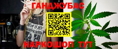 сатива Коммунар