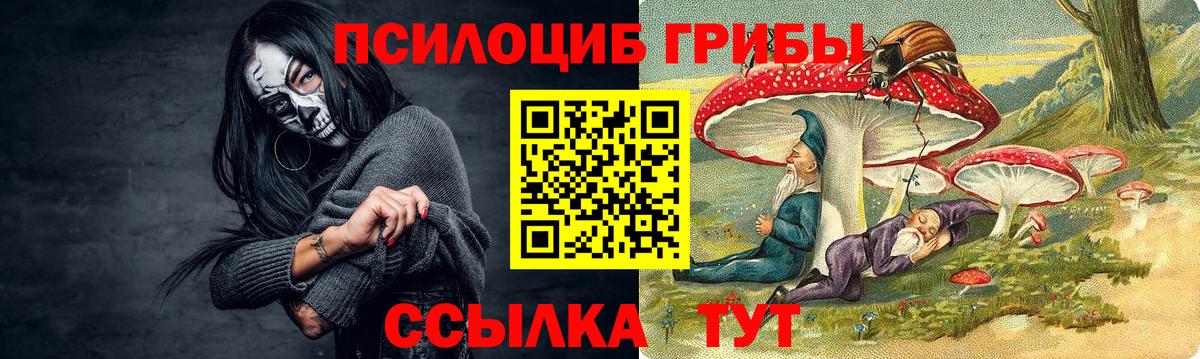 Галлюциногенные грибы ЛСД Томск