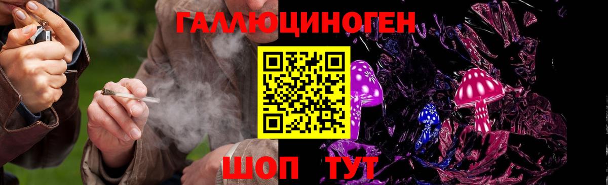 Галлюциногенные грибы MAGIC MUSHROOMS  Вход с VPN  Томск  Псилоцибиновые грибы мухоморы 